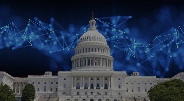 blockchain Government