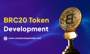 brc20 token development
