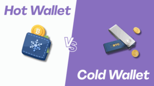 Hot Wallet vs Cold Wallet